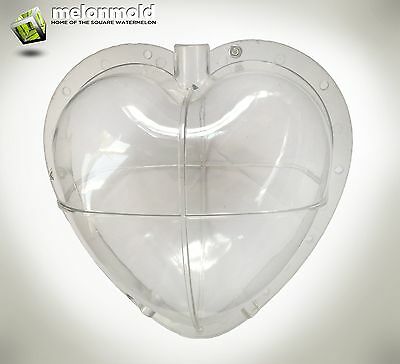Heart Shaped Watermelon Mold For Growing Heart Shaped Fruit