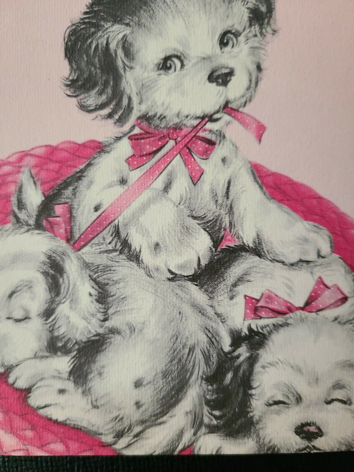 Vtg Birthday Greeting Card Playful Puppy Dogs Sleeping Bows Basket Granddaughter